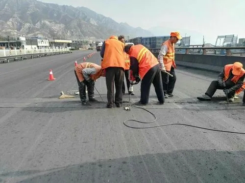 工业园区道路桥梁病害治理